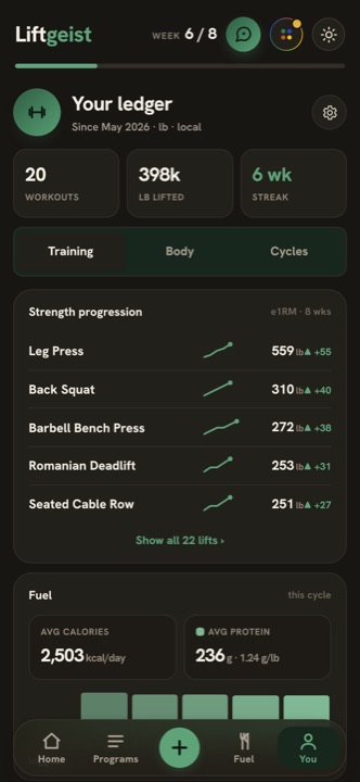 The ledger: 20 workouts, 398 thousand pounds lifted, a 6 week streak, strength charts per lift